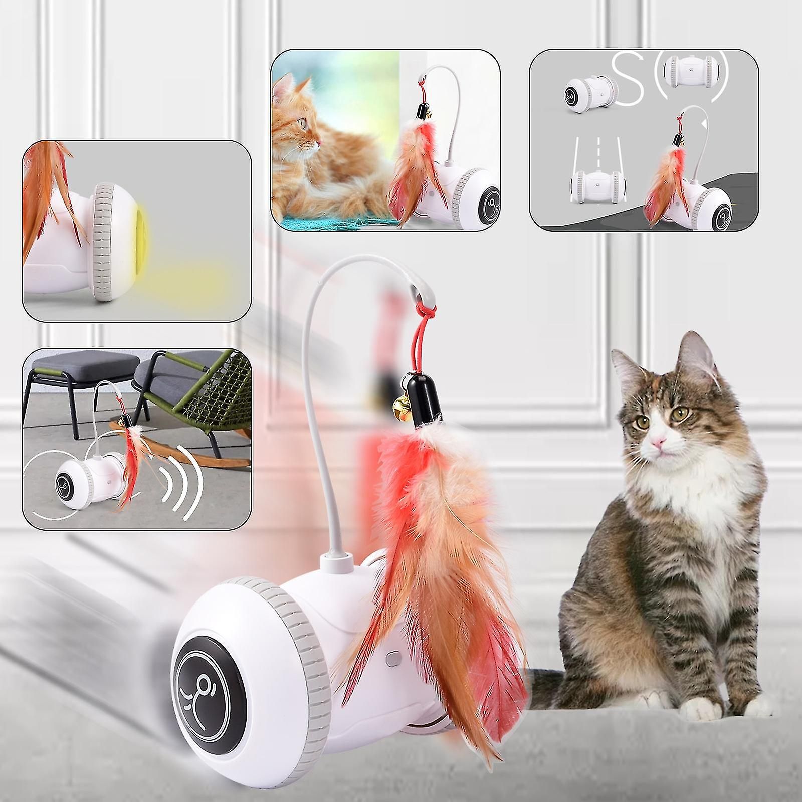 Capteur Automatique Chat Interactif Intelligent Robot lectr... - 2