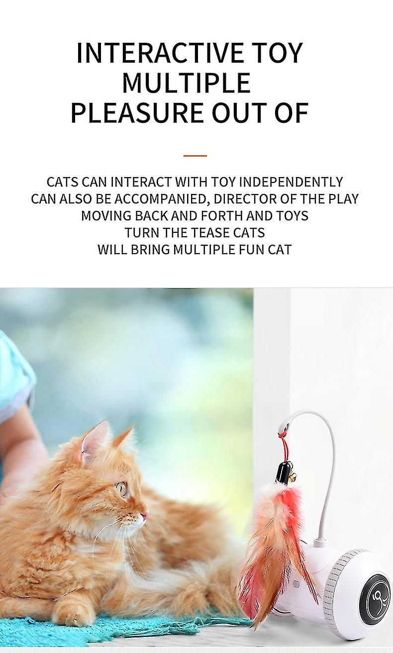 Capteur Automatique Chat Interactif Intelligent Robot lectr... - 4