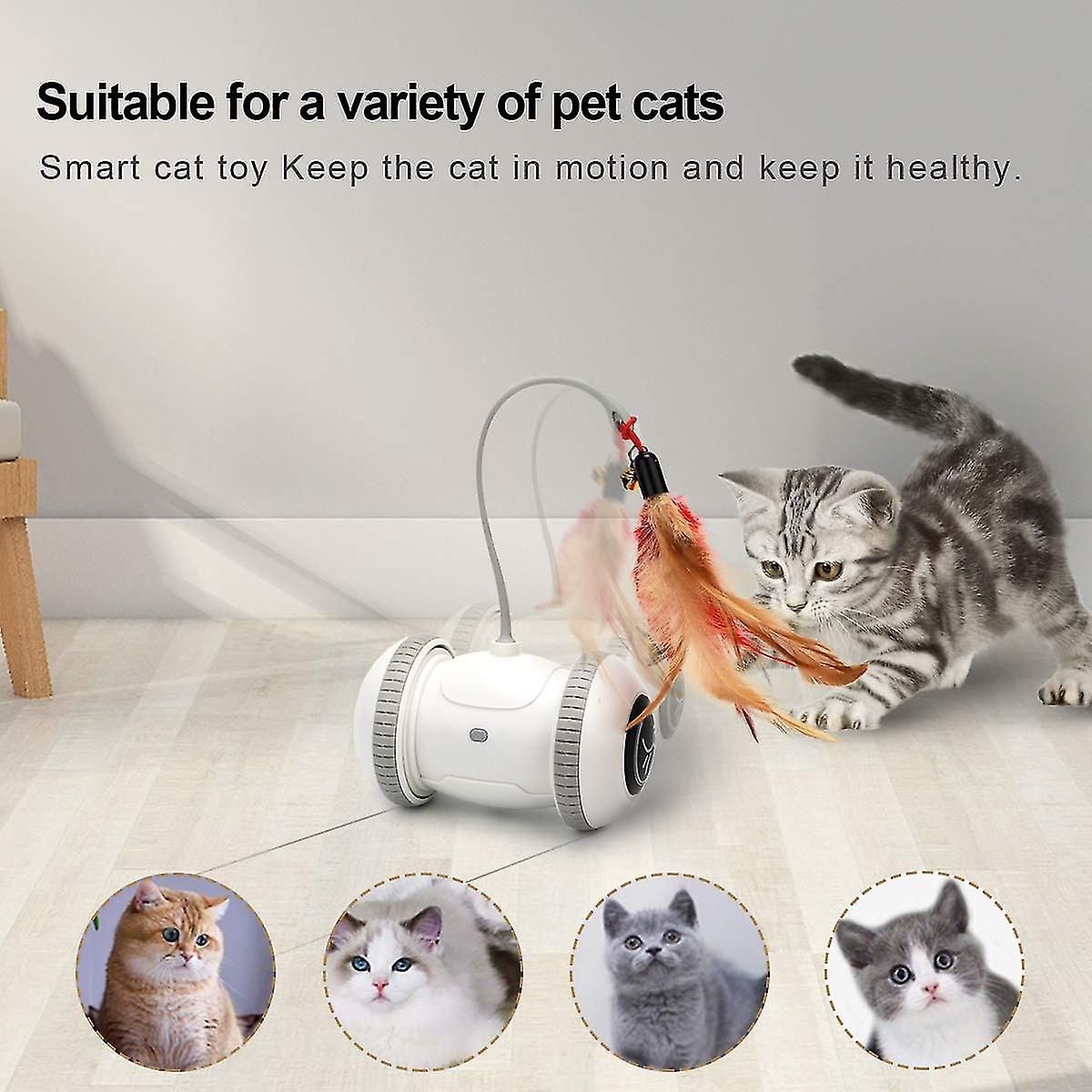 Capteur Automatique Chat Interactif Intelligent Robot lectr... - 5