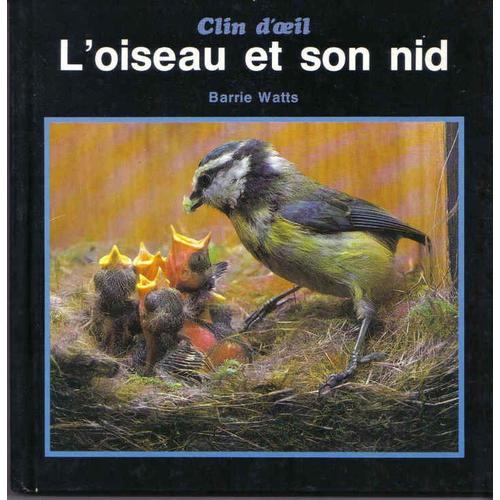 L'oiseau Et Son Nid