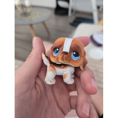 Lps - St Bernard #076