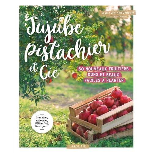 Jujube Pistachier Et Cie - 50 Nouveaux Fruitiers Bons Et Beaux, Faciles À Planter