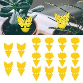 13 plantes pour lutter anti-mouches