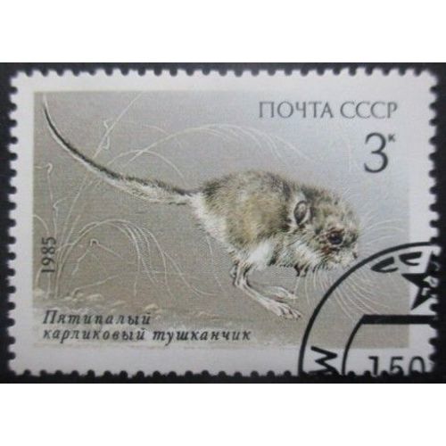 Russie N°5241 Gerboise Oblitéré