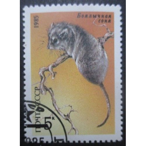 Russie N°5242 Lérot Oblitéré
