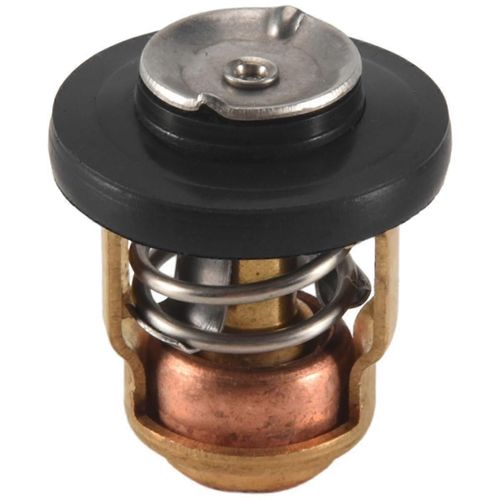Remplacement Du Thermostat Extérieur À 50 Degrés Pour 6 Chevaux À 40 Chevaux 2 Temps