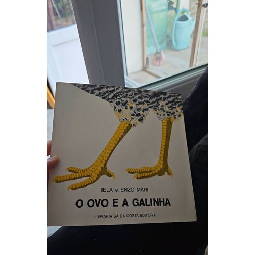 O Oui E A Galinha L Oeuf Ou La Poule