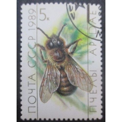 Russie N°5627 Abeille Oblitéré