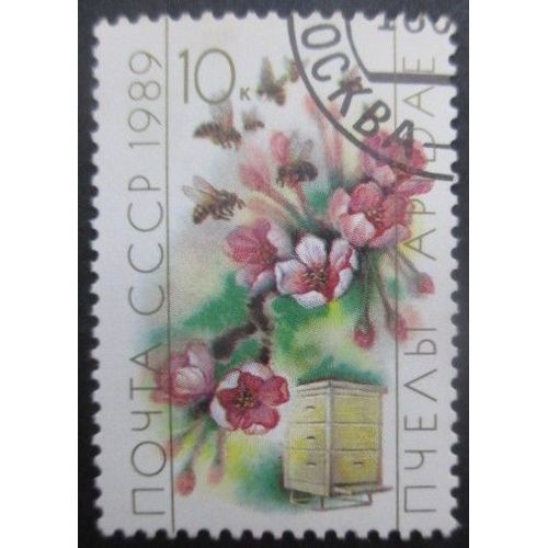 Russie N°5628 Abeille Oblitéré
