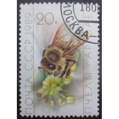 Russie N°5629 Abeille Oblitéré