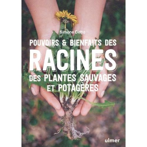 Pouvoirs & Bienfaits Des Racines Des Plantes Sauvages Et Potagères