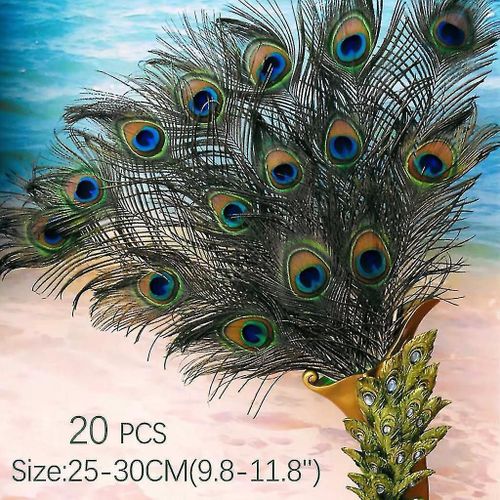 20pcs Pure Paon Naturel Plume Grands Yeux Vase Maison Décoration Bricolage Accessoires Panache 25-30cmdish S