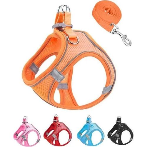 Ensemble Harnais Et Laisse Pour Chien En Maille Souple Orange S, Harnais Pour Chiot Sans Évasion Facile À Marcher(Orange, S)
