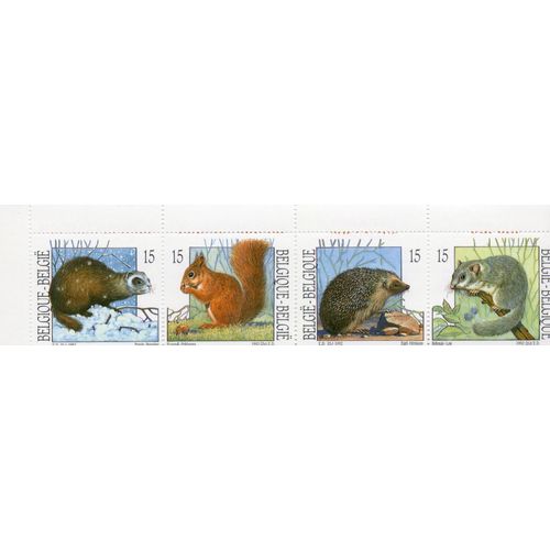 Belgique Timbres Les Petits Mammifères
