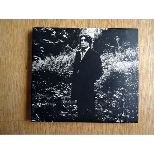 Alain Bashung L'Imprudence