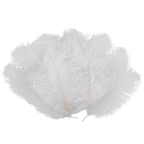 10 Pièces Blanc Naturel Plume D'autruche 20-25cm Mariage Diy