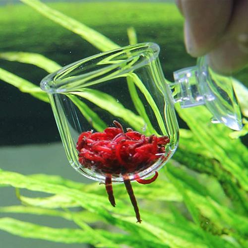 2 Pièces Aquarium Verre Alimentation Cône Tasse Plante Tasse Saumure Crevettes Vivant Rouge Ver Poisson Mangeoire Pour Aquarium Ventouses