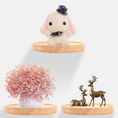 3pcs Etagères Murales Ronde Flottantes, Etagère Murale Bois Décoration Panneau De Bois Pour Photos Plantes Bougie Exposition Design Moderne, Ø15cm Charge Maximal 18kg.[G367]