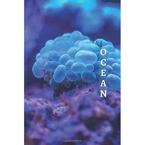 Ocean: 1/2 Picture 1/2 College Ruled White Interior Soft Cover 100 Pages 6x9 In