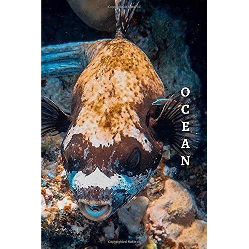 Ocean: 1/2 Picture 1/2 College Ruled White Interior Soft Cover 100 Pages 6x9 In