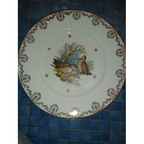 Lot De 12 Assiettes Porcelaine De Limoges