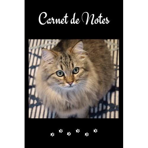 Carnet De Notes: Chat Maine Coon. Joli Cahier De 100 Pages Lignées Numérotées Avec Sommaire Au Format 6x9. Cadeau Idéal Pour Un Anniversaire, Pour Noël