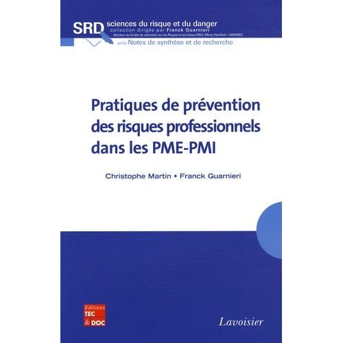 Pratiques De Prévention Des Risques Professionnels Dans Les Pme-Pmi
