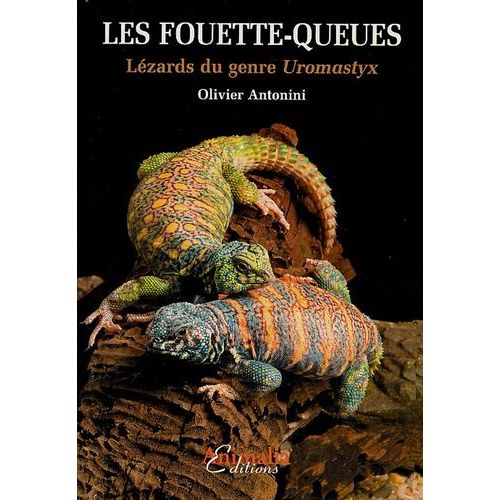 Les Fouette-Queues - Lézards Du Genre Uromastyx