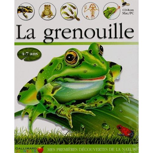 La Grenouille 4-7 Ans Cd-Rom