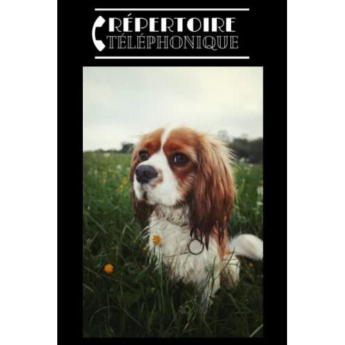 Répertoire Téléphonique: Alphabétique Chien Cavalier King Charles Spaniel. Carnet Dadresses Et Téléphones À Compléter Au Format A5 Pour Plus De 400 Contacts