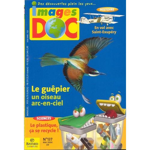 Images Doc  N° 137 : Le Guêpier Un Oiseau Arc-En-Ciel