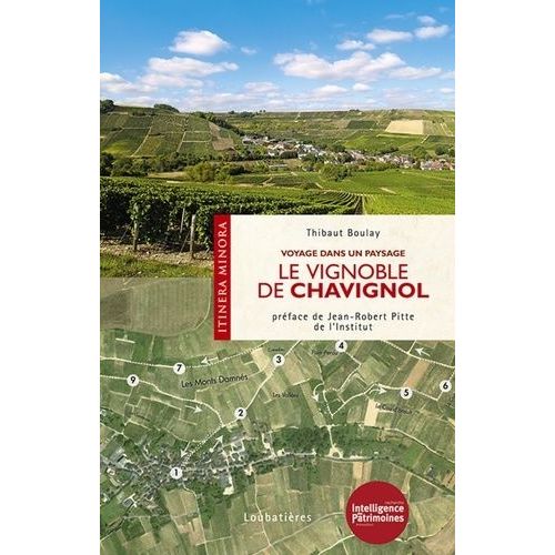 Le Vignoble De Chavignol - Voyage Dans Un Paysage