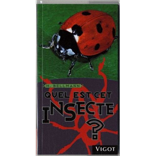 Quel Est Cet Insecte ?