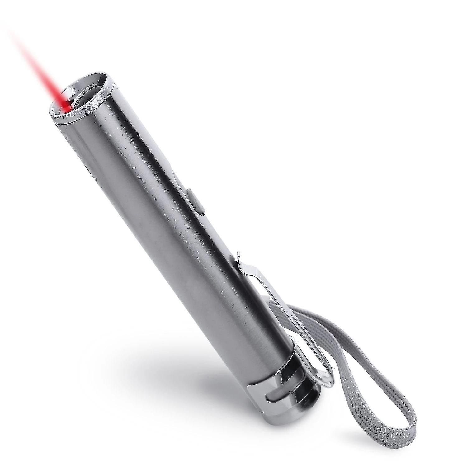 L'animal Familier Rechargeable D'usb Joue Le Pointeur De Las... - 3
