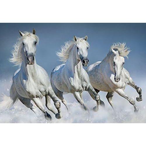 ERSHI- 3 D Sets de Chevaux Blancs, 2erSet, Set de table Animaux Animaux, cheval Pony[4510]