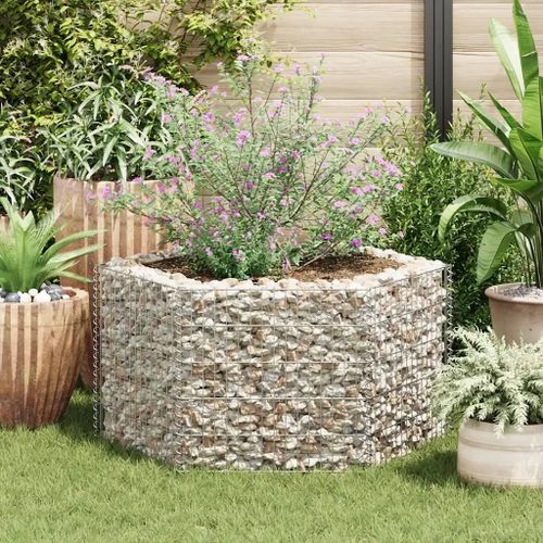 Prolenta Premium - Lit Surélevé À Gabion Hexagonale 100 X 90 X 50 Cm