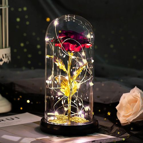 Cadeau Femme Rose Eternelle sous Cloche Coffret Cadeau Femme Anniversaire La Belle et la Bête Rose Dôme en Verre avec Lumières LED Cadeau Noel Cadeau Maman Grand Mere Mamie Amie Saint Valentin Mariage