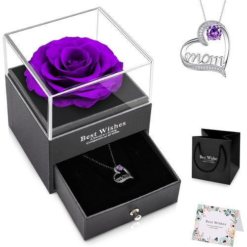 Rose Éternelle Idee Cadeau Noël Maman Femme Violet Avec Collier Cadeau Fete Des Meres Rose Eternelle Sous Cloche Cadeau Cadeau Anniversaire Maman Original Cadeaux Pour Maman Grand-Mère
