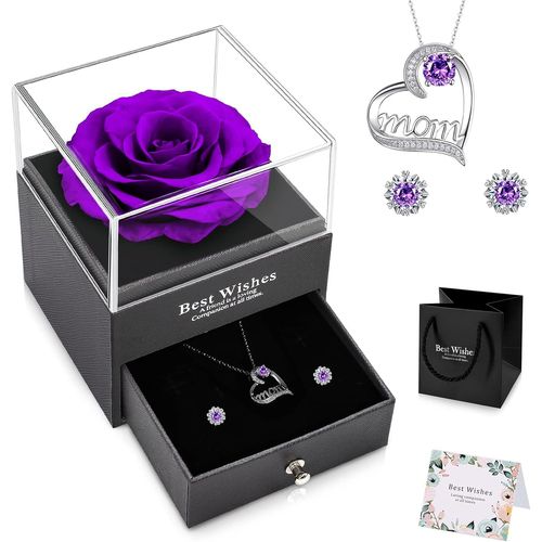 Rose Éternelle Violet Idee Cadeau Noël Maman Femme Avec Collier Cadeau Fete Des Meres Rose Eternelle Sous Cloche Cadeau Cadeau Anniversaire Maman Original Cadeaux Pour Maman Grand-Mère
