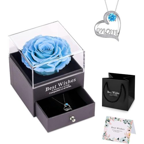 Rose Éternelle Bleu Idee Cadeau Noël Maman Femme Avec Collier Cadeau Fete Des Meres Rose Eternelle Sous Cloche Cadeau Cadeau Anniversaire Maman Original Cadeaux Pour Maman Grand-Mère