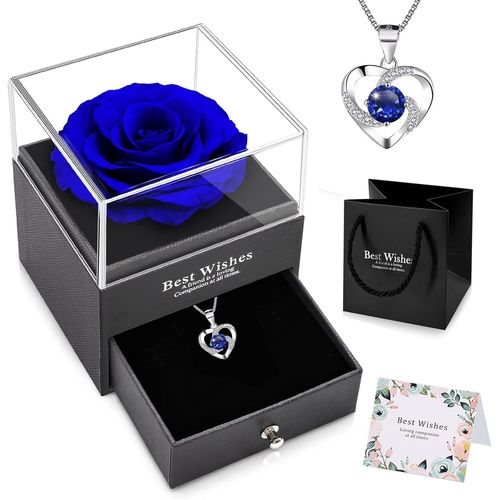 Rose Éternelle Cadeau St Saint Valentin Femme Avec Bijoux Argent Bleu Préservée Rose Eternelle Avec Collier À La Main Pour Sa Femme Maman Grand-Mère Amie Pour Elle La Noël,La Saint-Valentin