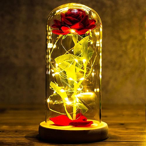 Cadeau Anniversaire Femme Rose Eternelle sous Cloche Coffret Cadeau Femme La Belle et la Bête Dôme en Verre avec Lumière LED Cadeau Maman Noel Grand Mere Saint Valentin Fete des Meres Fleur Eternelle