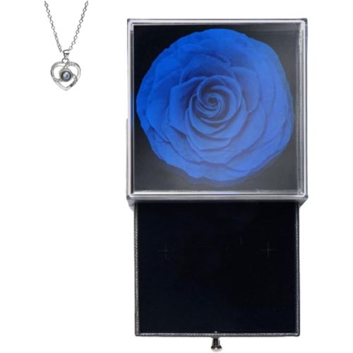 Rose Éternelle Avec Collier En Argent Pour Femme, Vraies Fleurs Éternelles, Idées Cadeaux Pour Femme, Mère, Petite Amie, Anniversaire, Noël
