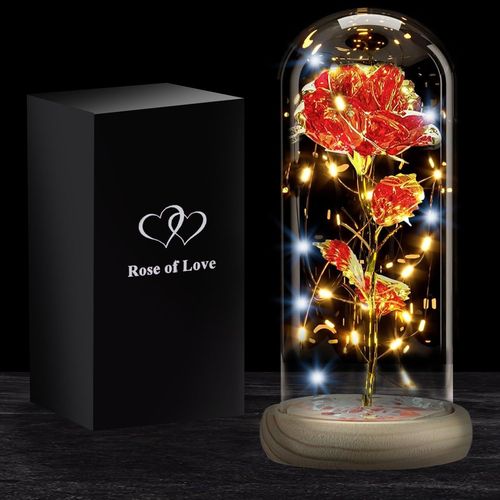 Rose Eternelle Lumineuse | Cadeau Romantique pour Femme | Fleur Artificielle Belle et la Bête | avec LED et Cloche en Verre | Coffret Inclus | Cadeaux St Valentin, Fête des Mères | OriginalCorner®