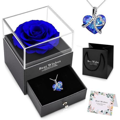 Rose Eternelle Avec Collier C?ur Cristal Femme,Pendentif Argent Préservée Fleur Rose Eternelle Avec Bijoux, Conservée Roses Boîte Pour Maman Grands Mères Copine