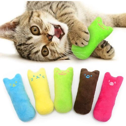 Jouet Pour Chat Avec Herbe À Chat, Ensemble De Jouets Pour Chat