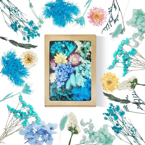 Dried Flowers Natural Dried Flowers Dried Flowers Decoration Dried Flower Dried Flower Dried Flower Dried Flowers For Resin Epoxy For Diy Crafts Scrapbooking Soap Candles (Blue)