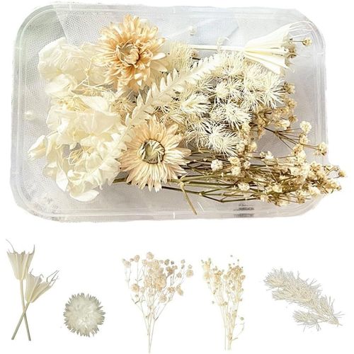 Dried Flowers,Natural Dried Flowers For Candles Dried Flowers,Dried Flowers,Loose Flowers,Dried Flowers,Decoration For Diy Epoxyn Resin Art Crafts (White)