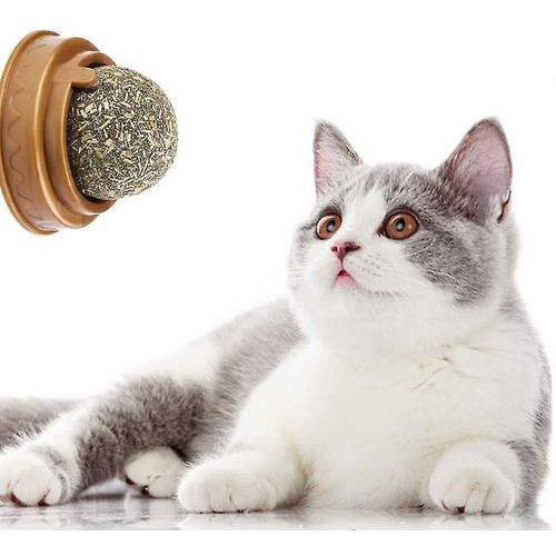 L'utilisateur Naturel De Friandises À L'herbe À Chat Élimine Les Boules De Poils Pour Promouvoir