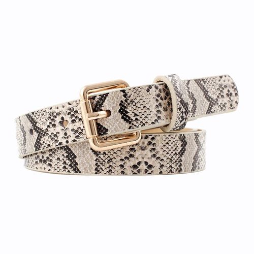 Pu En Cuir Imprimé Serpent Ceinture Punk Ou Pin Boucle Ceinture Femmes Loisirs Ceintures De Mode De Mode Pour Les Femmes Robe Beige